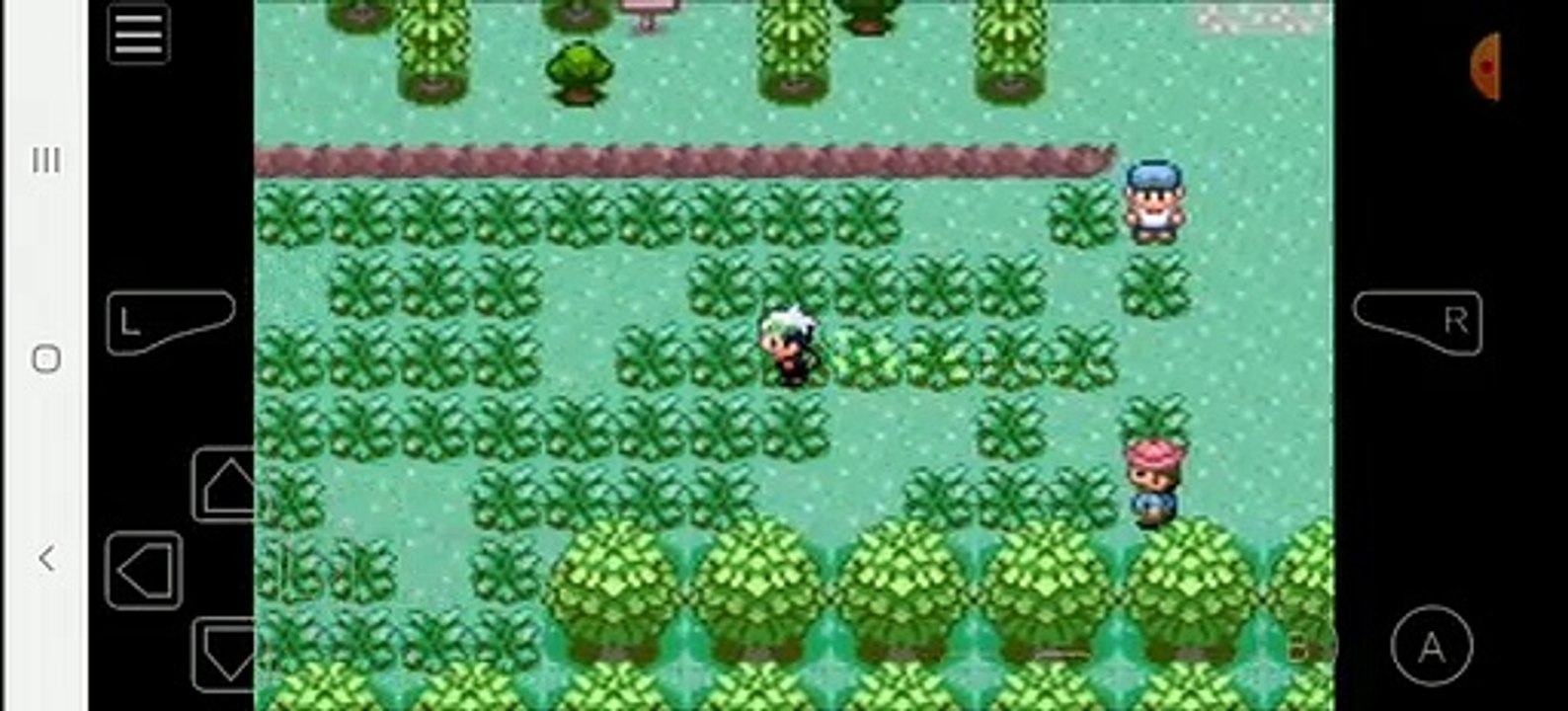 Pokémon Emerald Episode 3