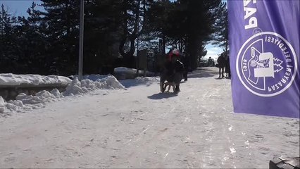 Küçükelmalı Tabiat Parkı'nda "kar ve kızak şenliği" düzenlendi