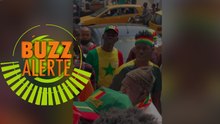 Finale CAN 2021/ Sénégal-Égypte: Grosse colère des supporters des Lions du Sénégal