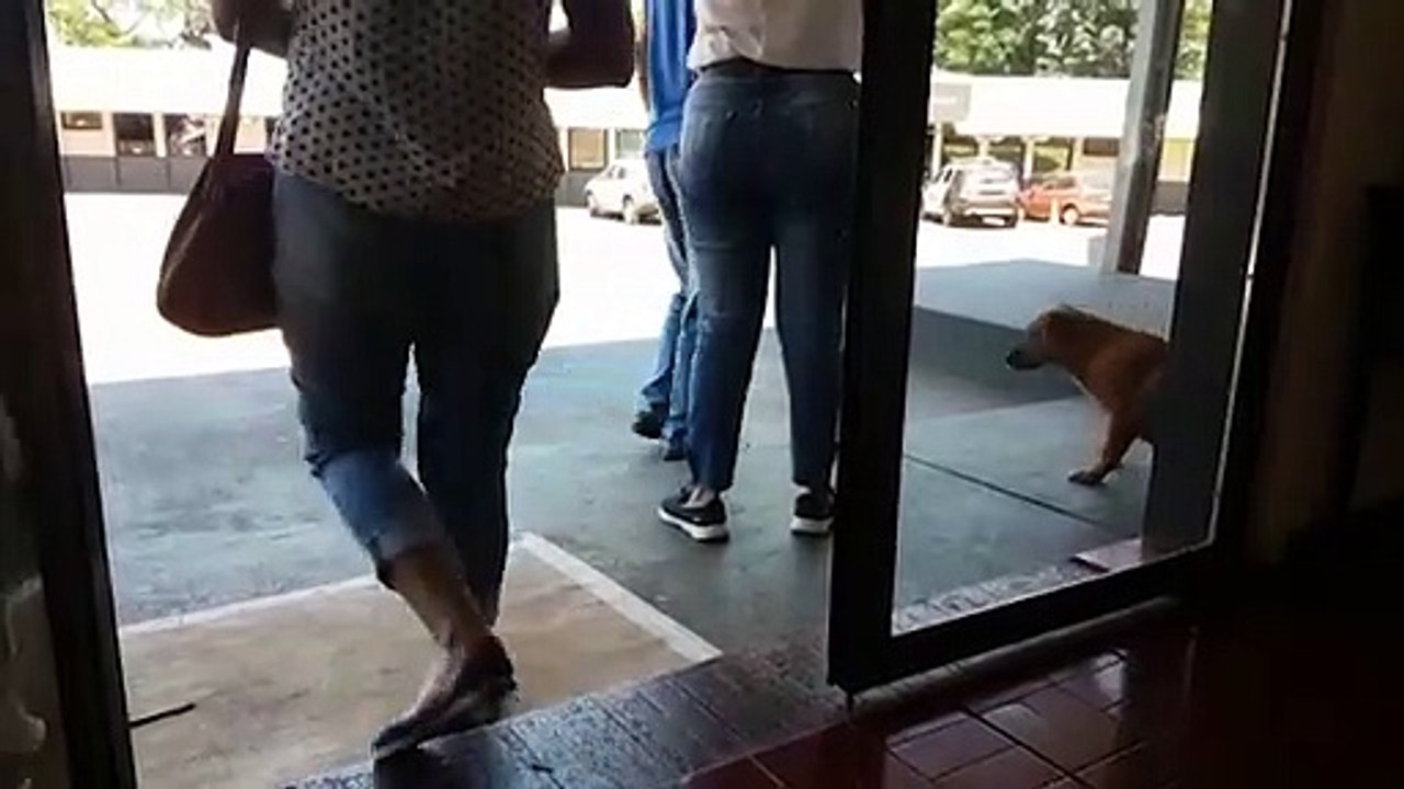 'A gente espera a justiça. A divina e a dos homens também!' diz irmã de José Jagas, morto a tijoladas durante a madrugada