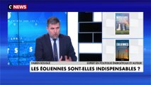 Fabien Bouglé : «Pourquoi vouloir installer des éoliennes dans un pays comme la France qui est déjà un des champions du monde de la décarbonation électrique