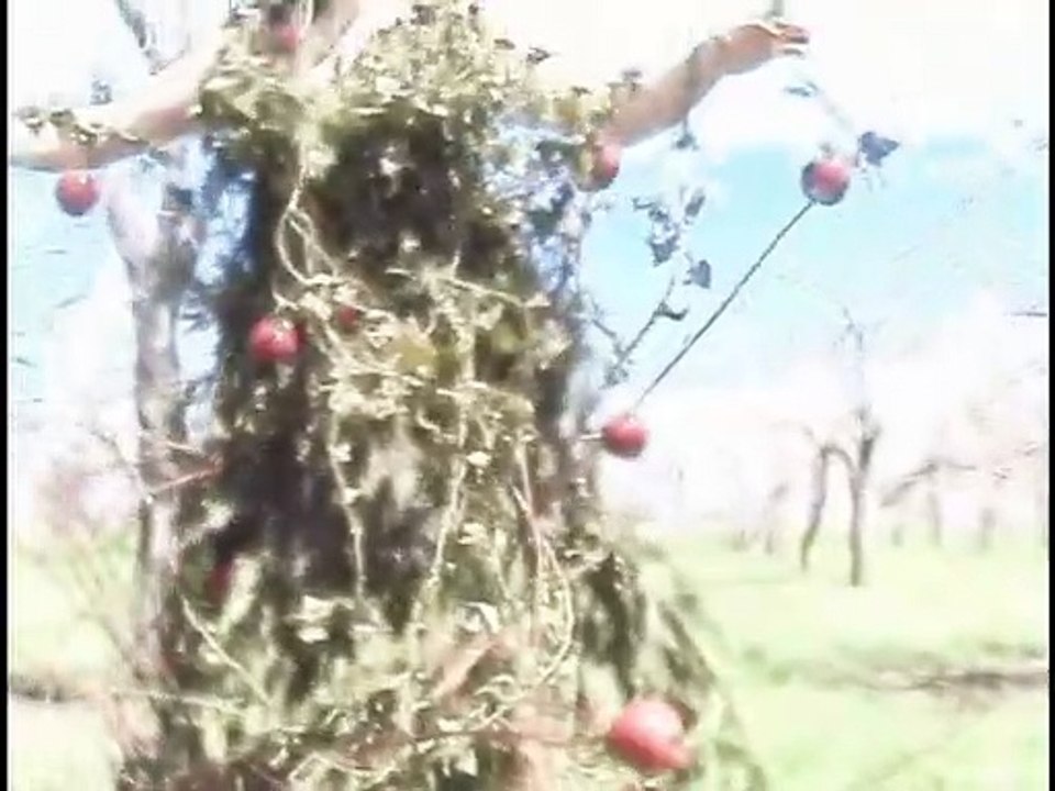 APPLE Tree