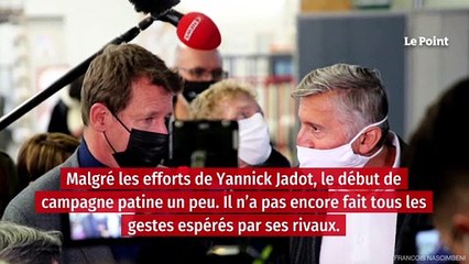 Le démarrage diesel de la campagne de Jadot