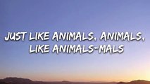 كلمات أغنية Animals مترجمة