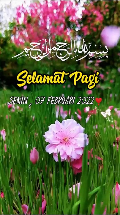 Embun Pagi