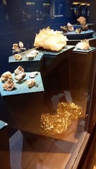 Muséum d'histoire naturelle de Grenoble (32)