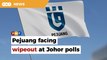 Pejuang facing wipeout at Johor polls due to lack of grassroots machinery, brand recognition