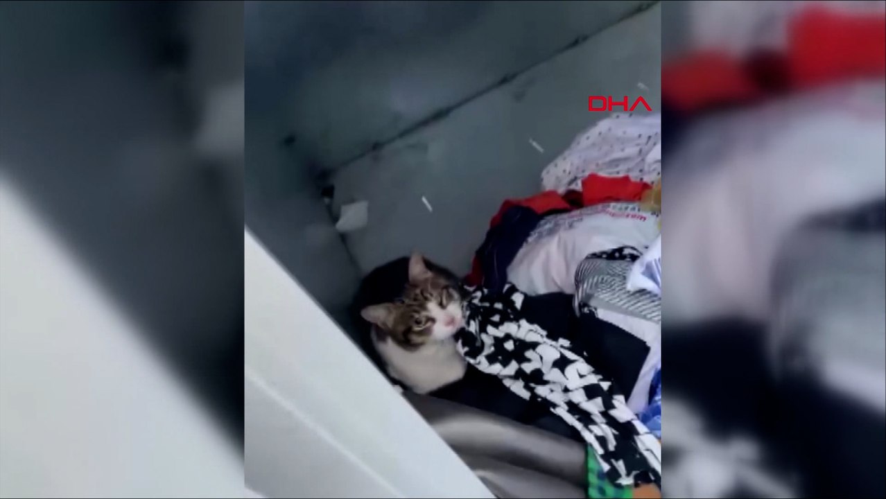 Giyim kumbarasında mahsur kalan kediyi itfaiye kurtardı