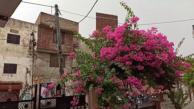 Weather news- तापमान में उतार चढ़ाव का दौर जारी