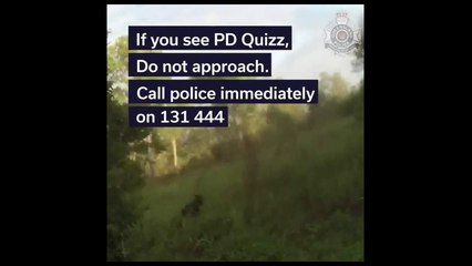 Queensland police launch search for PD Quizz the German Shepherd | January 13, 2022 | ACM