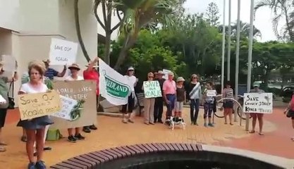 Save Cowley Street koala trees