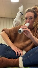 Rescue Bird Loves Making Noise