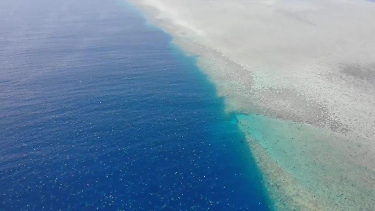 Green turtle rookery on Raine Island brought back from brink | January 17, 2022 | ACM