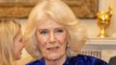 Camilla, Duchess of Cornwall loves 'saucy moments' in books