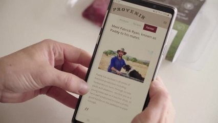 Provenir Edit 15 4k deliverable