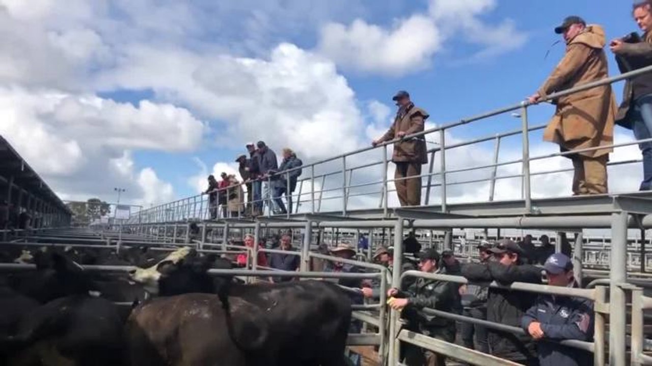 191108 Mt Gambier store sale