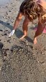 Manchas de óleo avistadas na praia do Cumbuco, em Caucaia