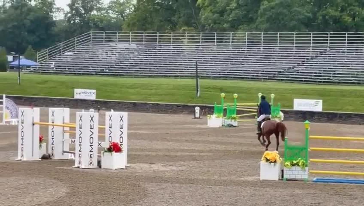 Rowan Willis and Blue Movie first round in the FEI CSI 4* Grand Prix at Saugerties