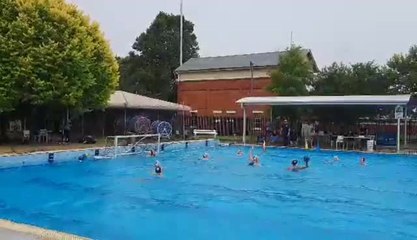 Sharks v Pool Pirates - The Border Mail - December 2021