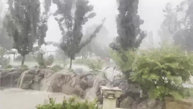 Wild weather on the Border, December 19