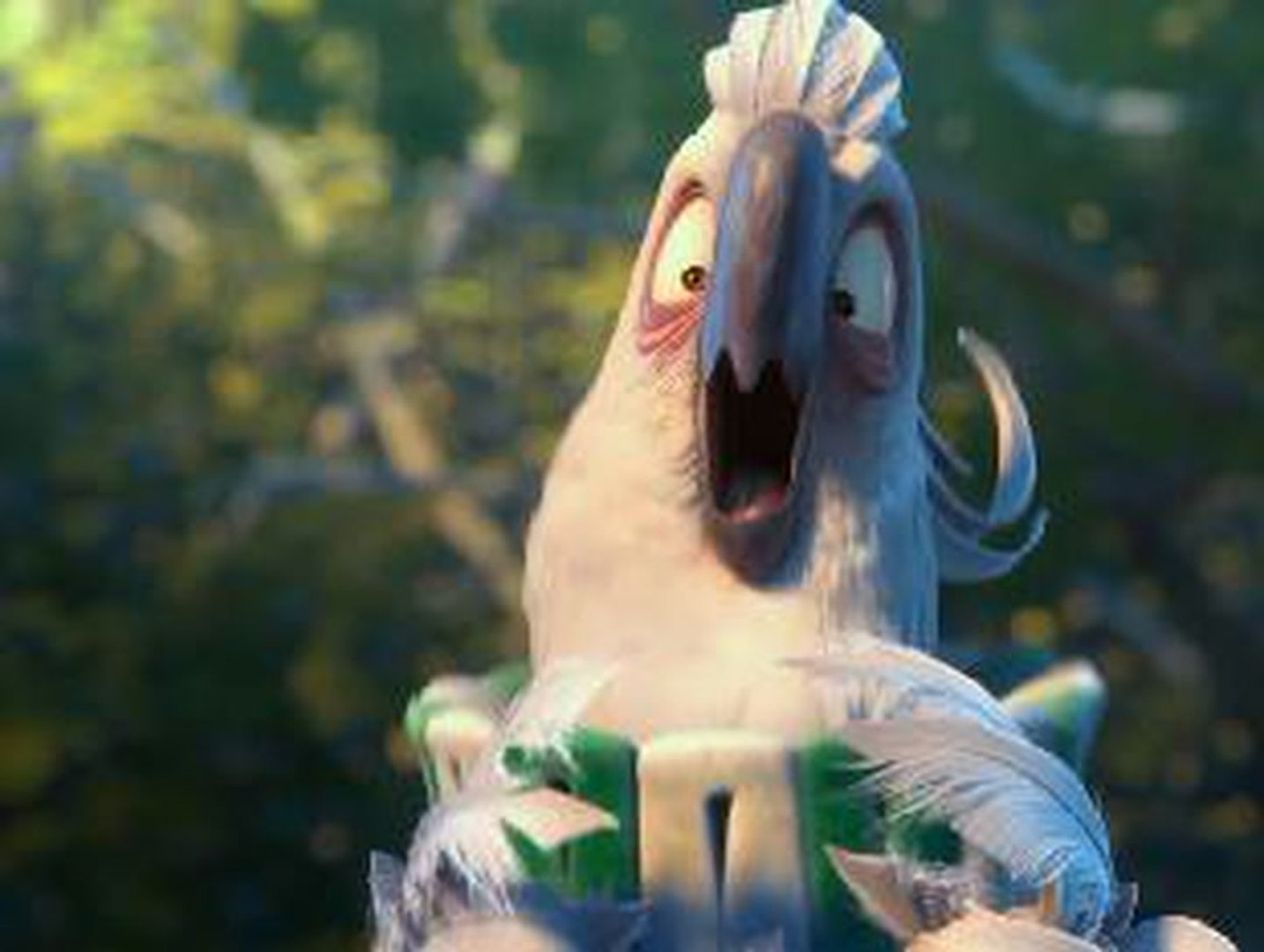 red and white bird rio 2