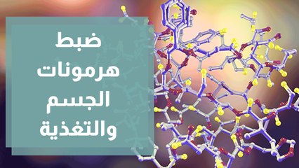 طرق غذائية لضبط مستويات الهرمونات بالجسم