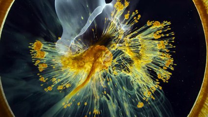 Voyage of time - Il cammino della vita (Trailer Italiano HD) ⭐️⭐️⭐️⭐️