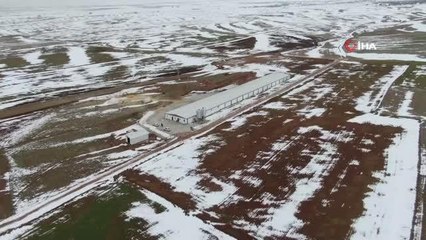 Şehir hayatından sıkıldı, devletten aldığı destek ile köye dönüp çiftlik kurdu