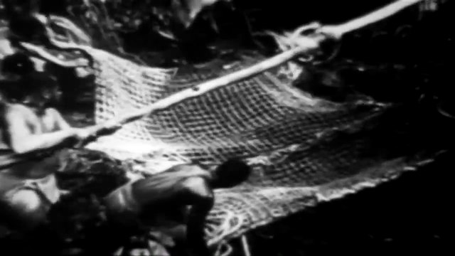 Caged Fury_ - Trapping And Domesticating Wild Lions And Tigers