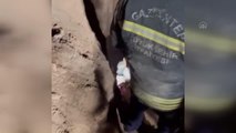 GAZİANTEP - 10 metrelik kuyuya düşen 2 tilki kurtarıldı