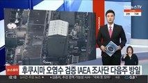 후쿠시마 오염수 검증 IAEA 조사단 내주 방일…한국도 참가