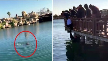 Kız arkadaşıyla tartıştıktan sonra göle atlayan genç, son anda kurtarıldı