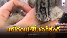 แค่ได้ดมให้ก็ยังดี เอ็นดูลูกชาย ปกติอยู่แต่ในบ้าน พอมีนกบินหลงเข้ามา  น้องดมๆสูดลมหายใจเข้าเต็มปอดเลย
