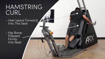 ARX Omni - Hamstring Curl