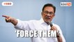 Anwar: Logging firms contributing to flood disaster should compensate victims