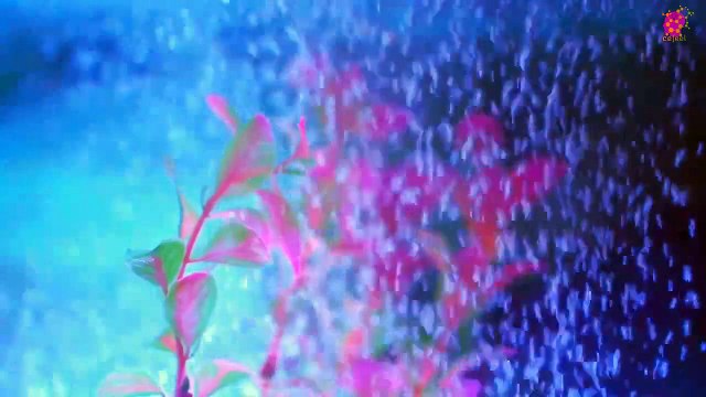 15 Minute Deep Focus Music | Study | Sleep | Meditation | Healing | Soothing | Concentration | Self-love | Calming Down | Positive Energy | Anti-Depression