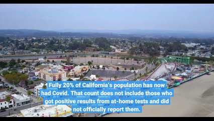 California Covid Deaths Officially Cross 80000 As Cases Top 8000000