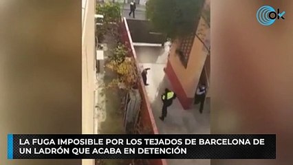 La fuga imposible por los tejados de Barcelona de un ladrón que acaba en detención