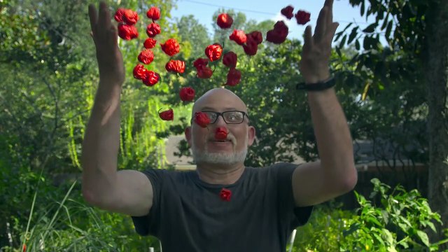 Chiliheads fous de piments forts Film Documentaire