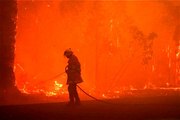 Son dakika! Avustralya'da orman yangını: 60 bin hektar alan küle döndü