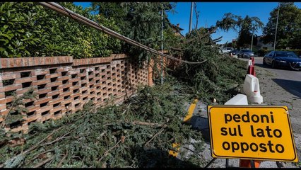 Download Video: Meteo, le previsioni per il Veneto si alzano i venti, in arrivo forti ​raffiche di Foehn  Torna la