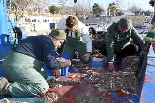 TEKİRDAĞLI BALIKÇILARIN UMUDU KARİDES