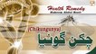 Chikungunya || Chikungunya Ka Ilaj || Hakeem Abdul Basit #Healthtips