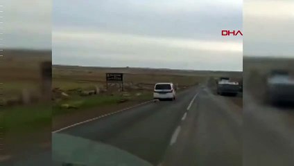 Hiç mi vicdanın, hiç mi acıma duygun yok? Aracın arkasına koyunu bağlayıp...