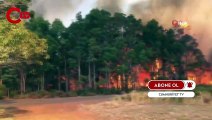Avustralya’da orman yangını: 60 bin hektar alan küle döndü