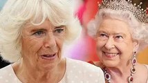 'Can't do it alone!' Queen in a special nod to Prince Philip with Queen Camilla decision