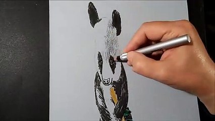 How to Draw a 3D Panda Bear- Trick Art