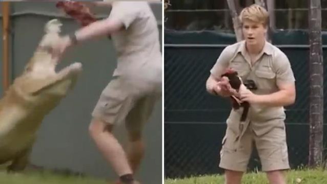 Televizyon programında işler ters gitti! Şov yapmak isterken timsaha yem oluyordu