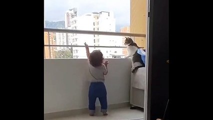 Kedi, balkon demirine asılan çocuğu engelledi