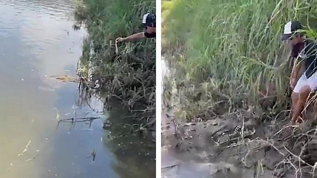 Un homme se retrouve bloqué face à un crocodile